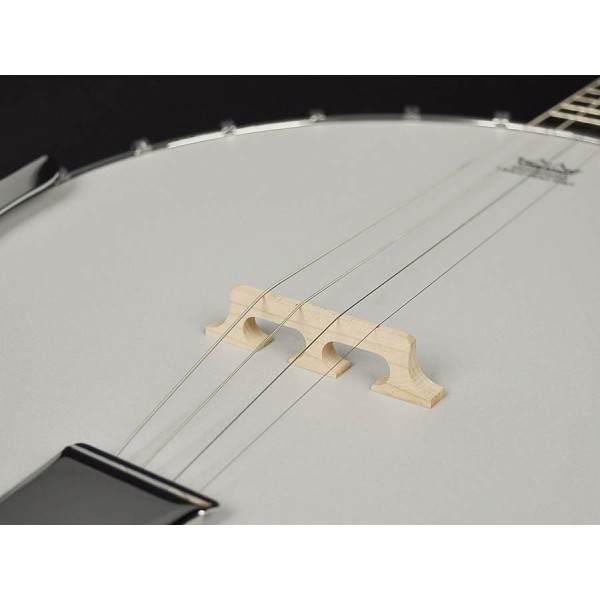 Банджо RICHWOOD RMB-604-SS