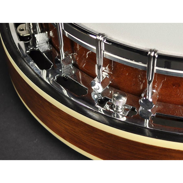Банджо RICHWOOD RMB-604-SS
