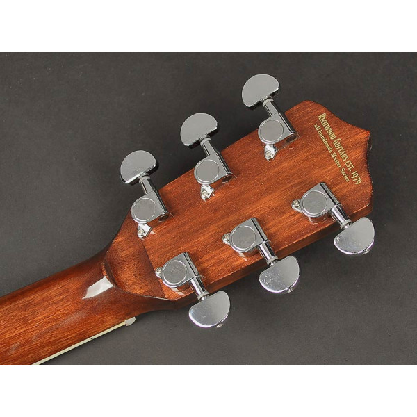 Банджо RICHWOOD RMB-906