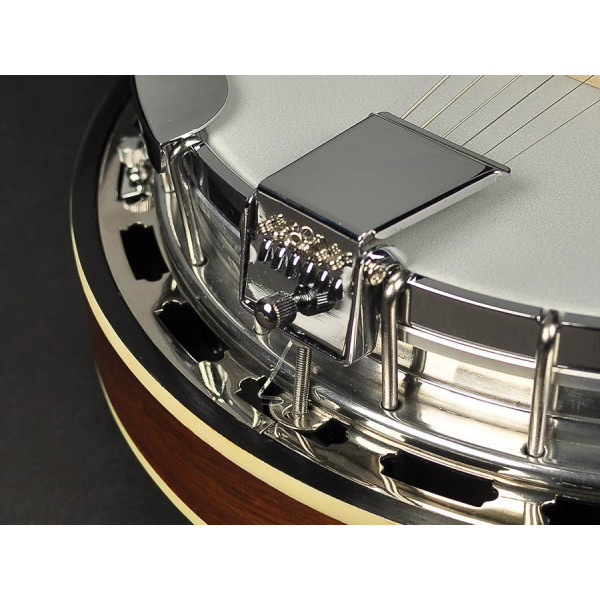 Банджо RICHWOOD RMB-906