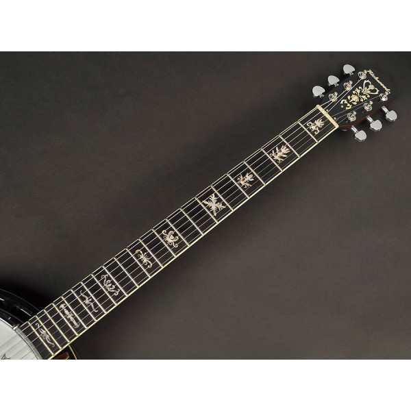 Банджо RICHWOOD RMB-906