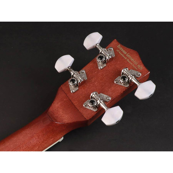 Банджо RICHWOOD RMBU-404