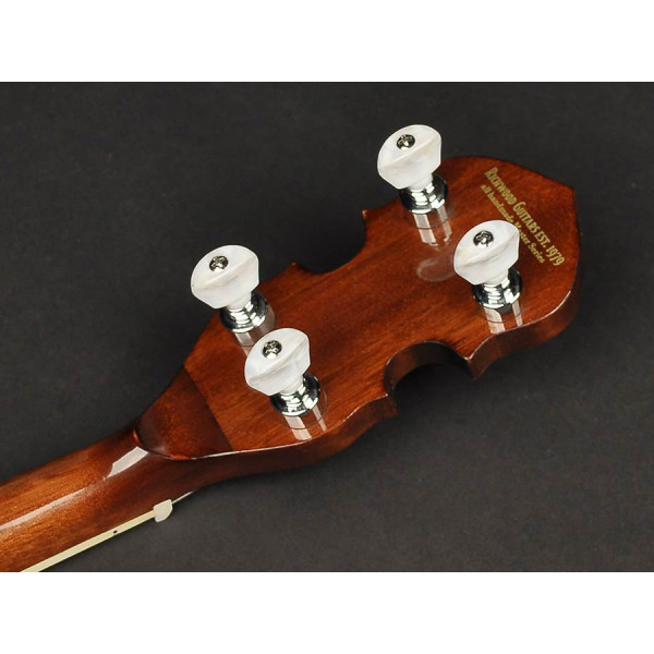 Банджо RICHWOOD RMB-904