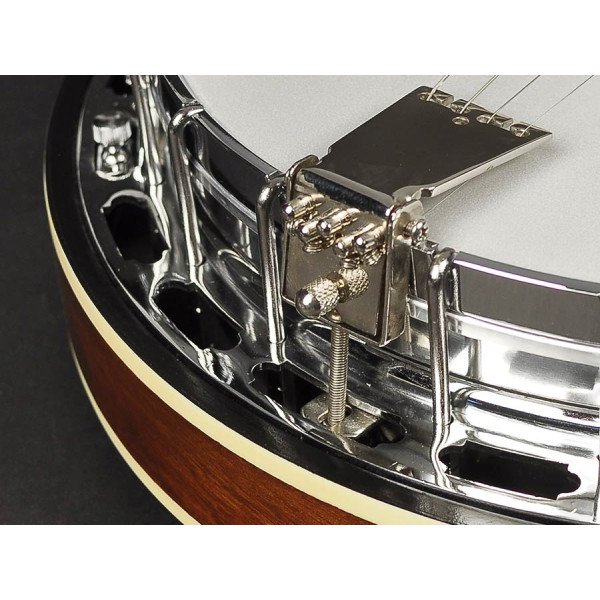 Банджо RICHWOOD RMB-904
