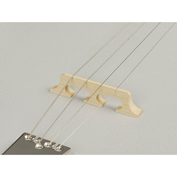 Банджо RICHWOOD RMB-904