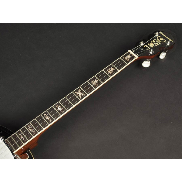Банджо RICHWOOD RMB-904