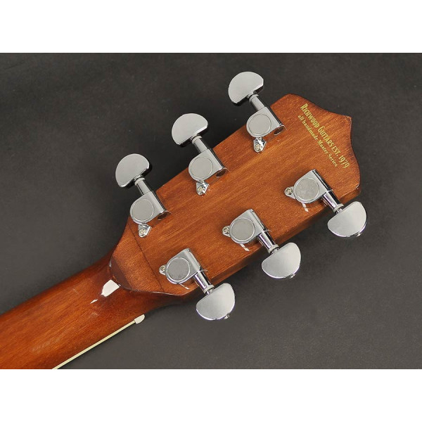 Банджо RICHWOOD RMB-606