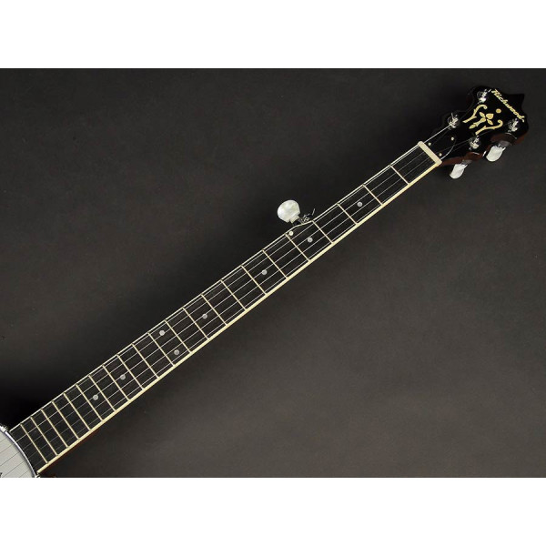 Банджо RICHWOOD RMB-405