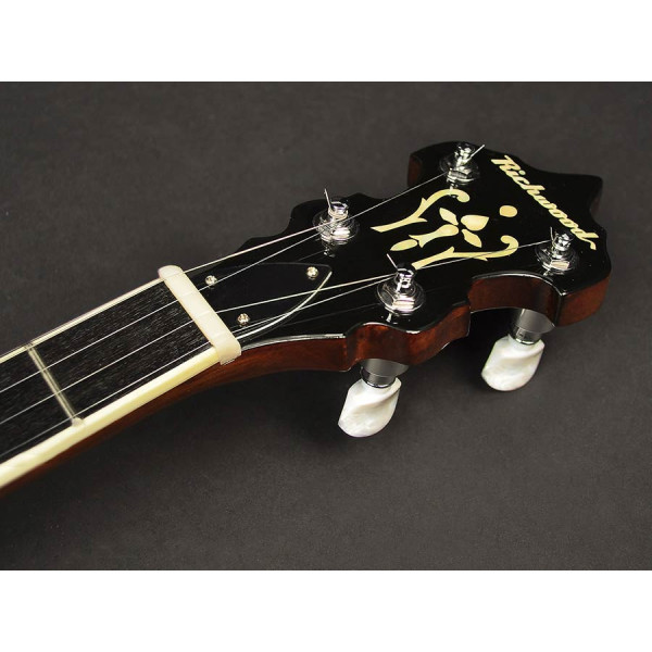 Банджо RICHWOOD RMB-405