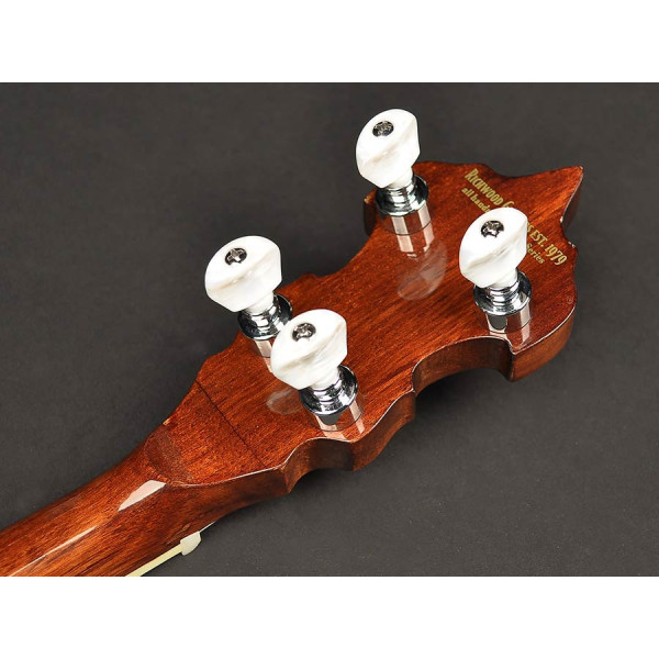 Банджо RICHWOOD RMB-405