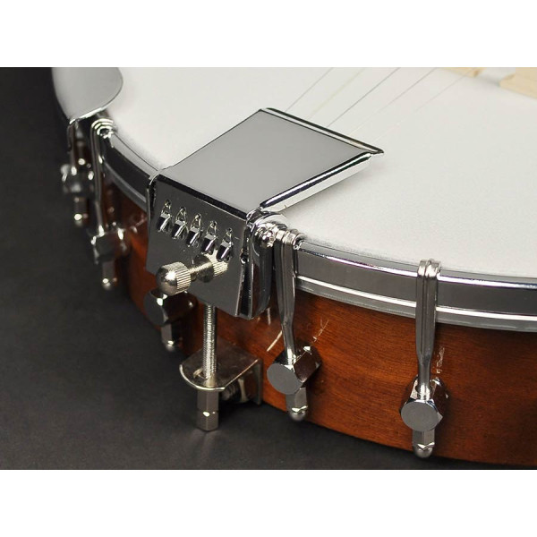Банджо RICHWOOD RMB-405