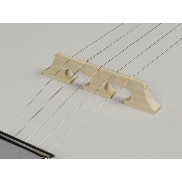 Банджо RICHWOOD RMB-405