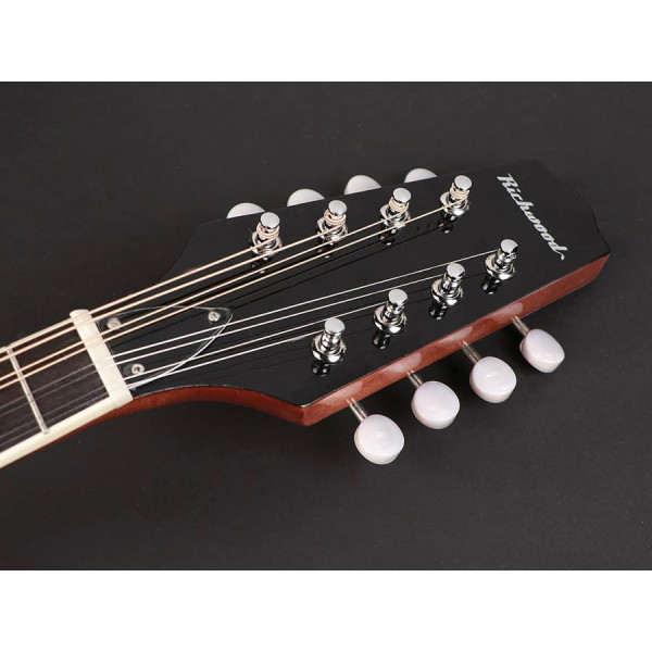 Банджо RICHWOOD RMBM-408