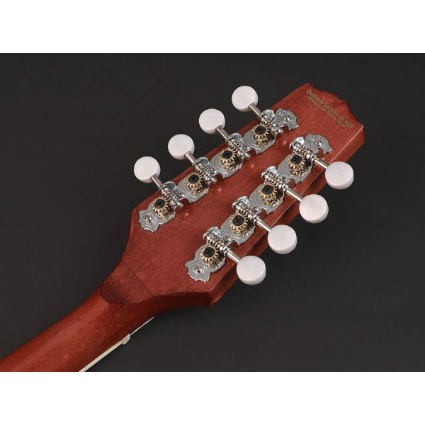 Банджо RICHWOOD RMBM-408