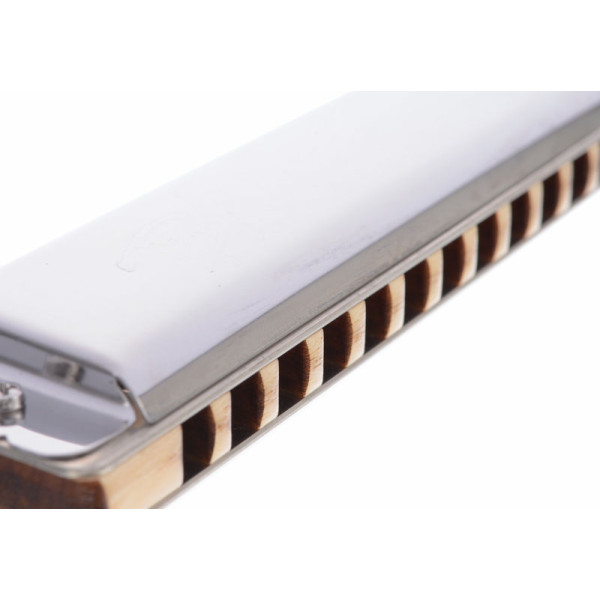 Губна гармошка SEYDEL SOLIST PRO 12 Steel C-major
