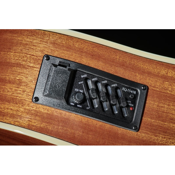Електроакустична гітара HARLEY BENTON D-120CE NT