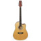 Акустична гітара PARKSONS JB4111C (Natural)