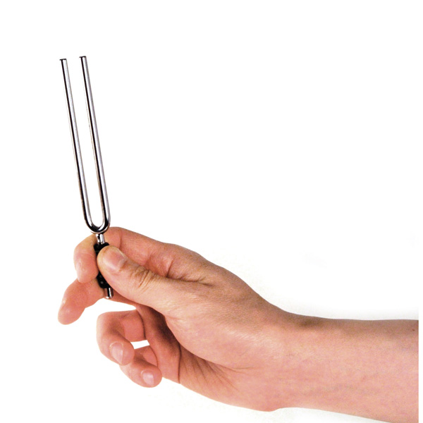 Камертон вилка D'ADDARIO PWTF-A TUNING FORK (A)