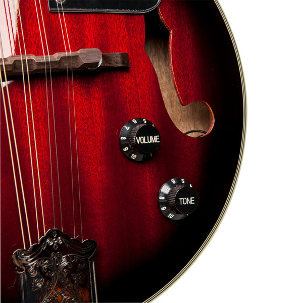Мандоліна електроакустична STAGG M50 E