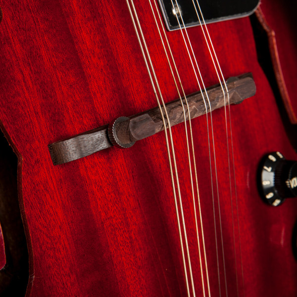 Мандоліна електроакустична STAGG M50 E
