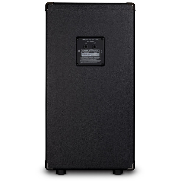 Кабінет для бас-гітари AMPEG SVT-210AV