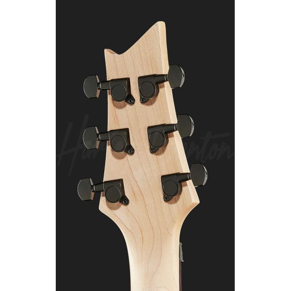Електрогітара HARLEY BENTON R-456FR BK Progressive Series