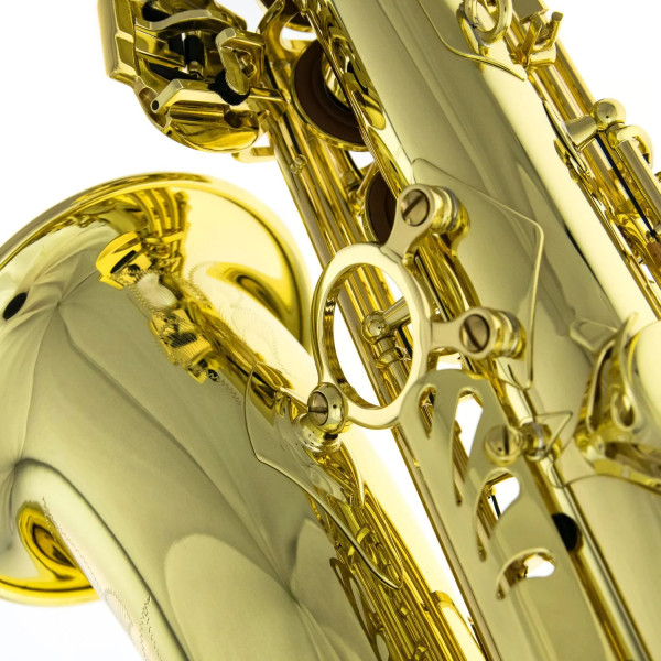 Альт саксофон SELMER SeleS Axos