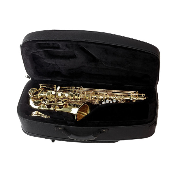 Альт саксофон SELMER SeleS Axos