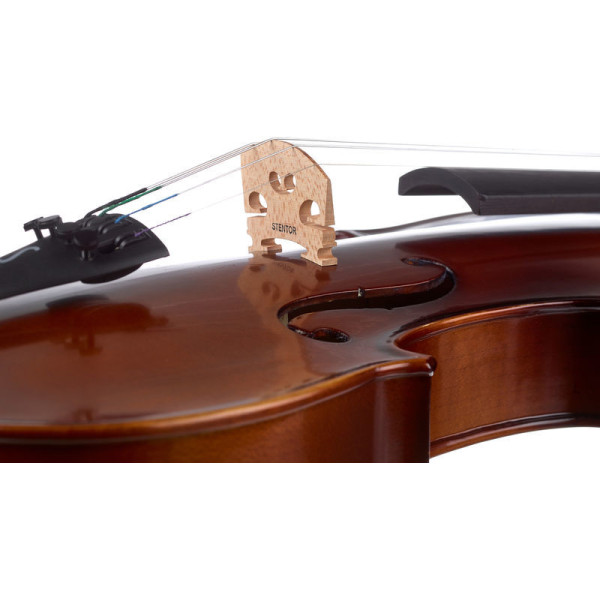 Скрипка STENTOR 1542A GRADUATE VIOLIN OUTFIT 4/4
