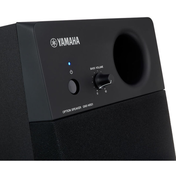 Акустична система YAMAHA GNS-MS01