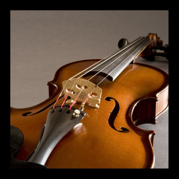 Звукознімач для скрипки FISHMAN V-300 Violin Pickup