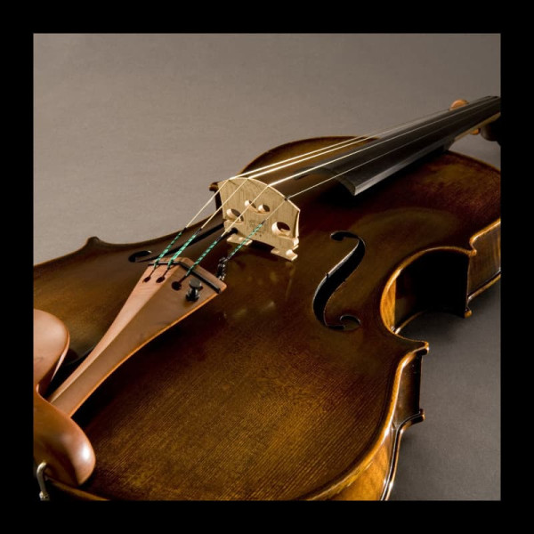 Звукознімач для альта FISHMAN V-400 Viola Pickup