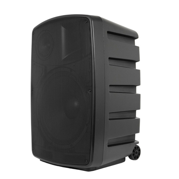 Активна акустична система CLARITY MAX15F3