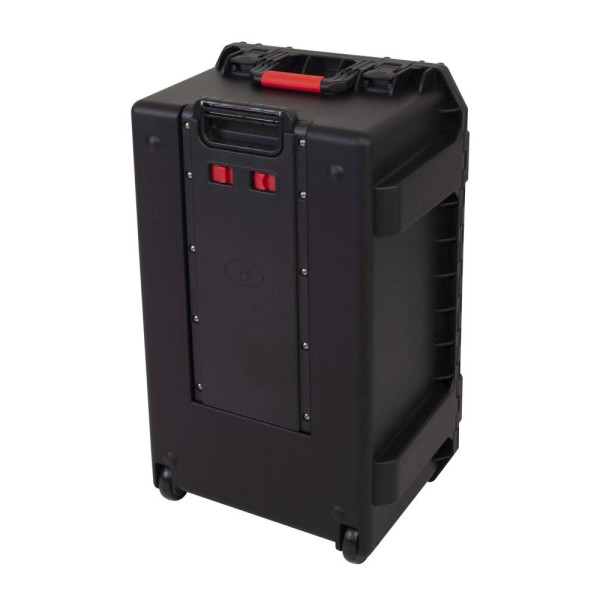 Кейс для звукового обладнання PROEL PPCASE14W