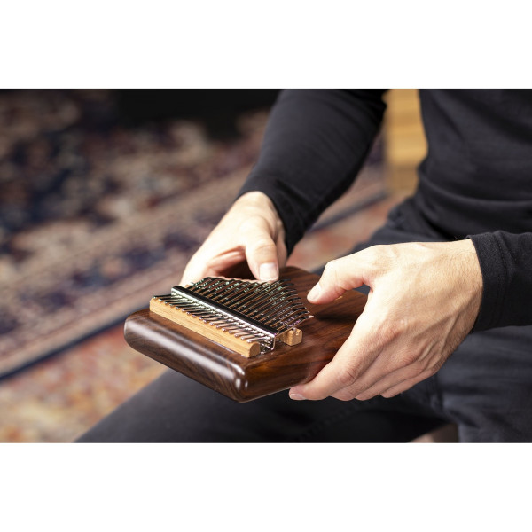 Калімба електроакустична MEINL Solid Pickup Kalimba PKA17AW