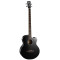 Акустична бас-гітара CORT AB850F (Black)