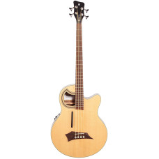 Акустична бас-гітара WARWICK RockBass Alien Deluxe, 4-String (Natural Transparent Satin)