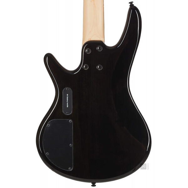 Бас-гітара IBANEZ GSR205SM NGT (Natural Gray Burst)
