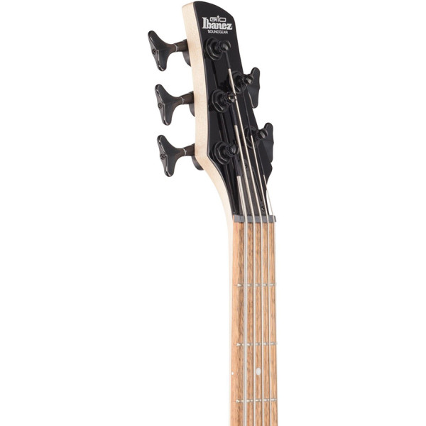 Бас-гітара IBANEZ GSR205SM NGT (Natural Gray Burst)