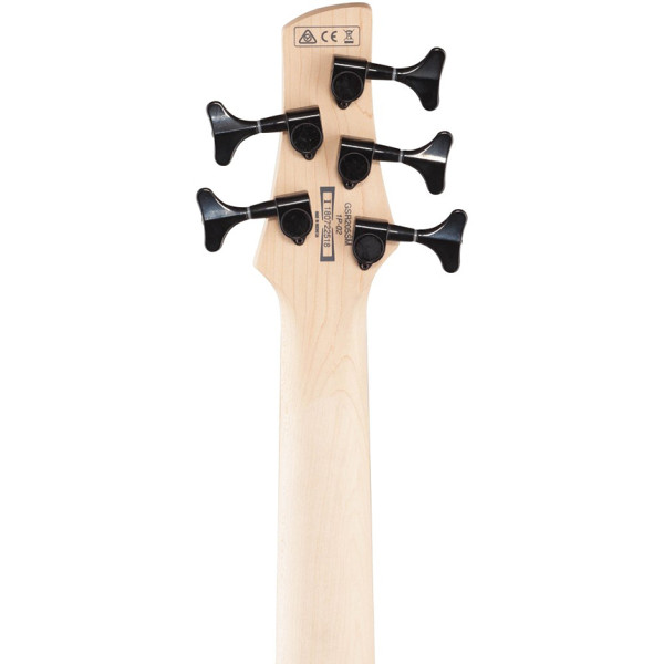 Бас-гітара IBANEZ GSR205SM NGT (Natural Gray Burst)