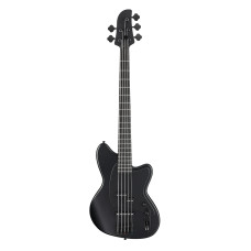 Бас-гітара IBANEZ TMB425B BKF (Black Flat)