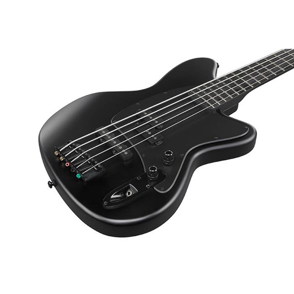 Бас-гітара IBANEZ TMB425B BKF (Black Flat)