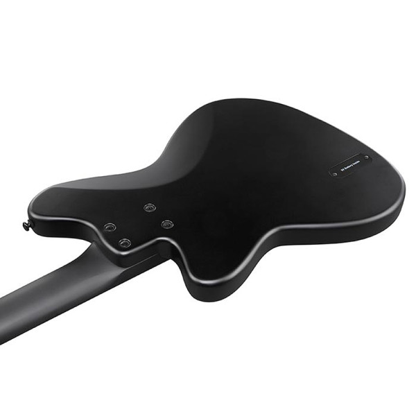 Бас-гітара IBANEZ TMB425B BKF (Black Flat)