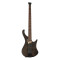 Бас-гітара IBANEZ EHB600 WNF (Walnut Flat)