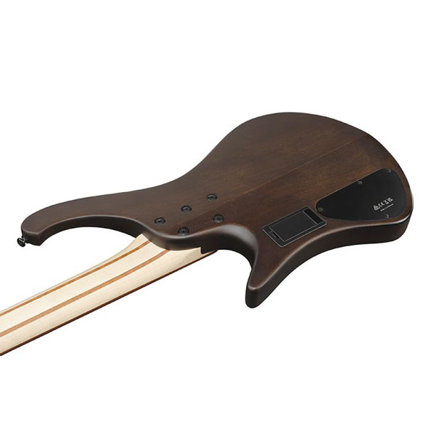 Бас-гітара IBANEZ EHB600 WNF (Walnut Flat)