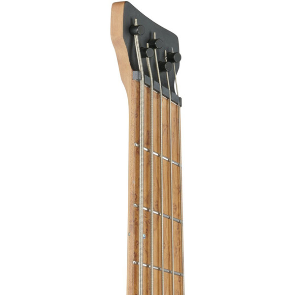 Бас-гітара IBANEZ EHB1005MS SFM (Seafoam Green Matte)