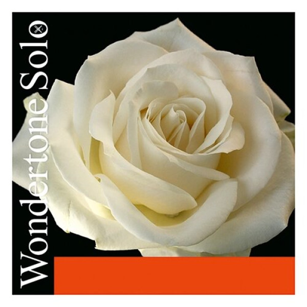 Струна мі для скрипки PIRASTRO Wondertone Solo 310321