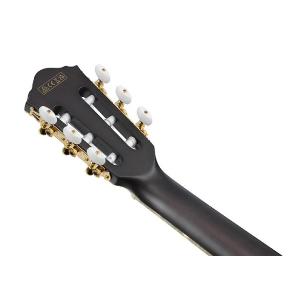Класична гітара IBANEZ TOD10N-TKF