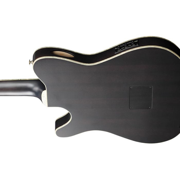 Класична гітара IBANEZ TOD10N-TKF