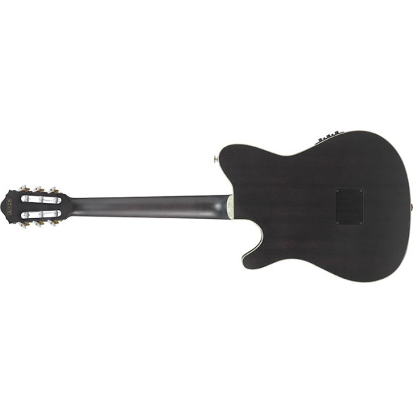 Класична гітара IBANEZ TOD10N-TKF